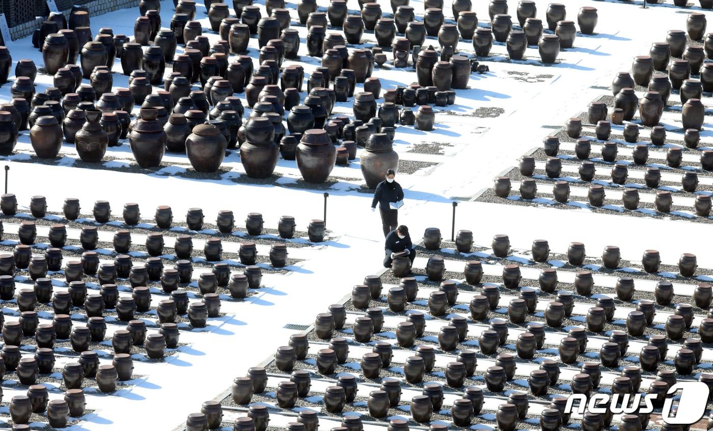 입춘을 하루 앞둔 3일 경기 파주장단콩웰빙마루에서 직원들이 장담그기를 위해 장독을 살펴보고 있다. 이곳에서는 파주지역에서 재배된 콩으로 직접 메주를 만들어 오는 3월1일 부터 1,400여개의 장독에 장담그기를 시작한다. 2022.2.3/뉴스1 ⓒ News1 김명섭 기자