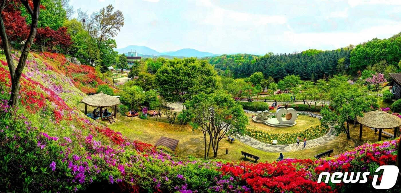 본문 이미지 - 용인8경 중 제4경인 용인농촌테마파크.(용인시 제공) ⓒ News1  