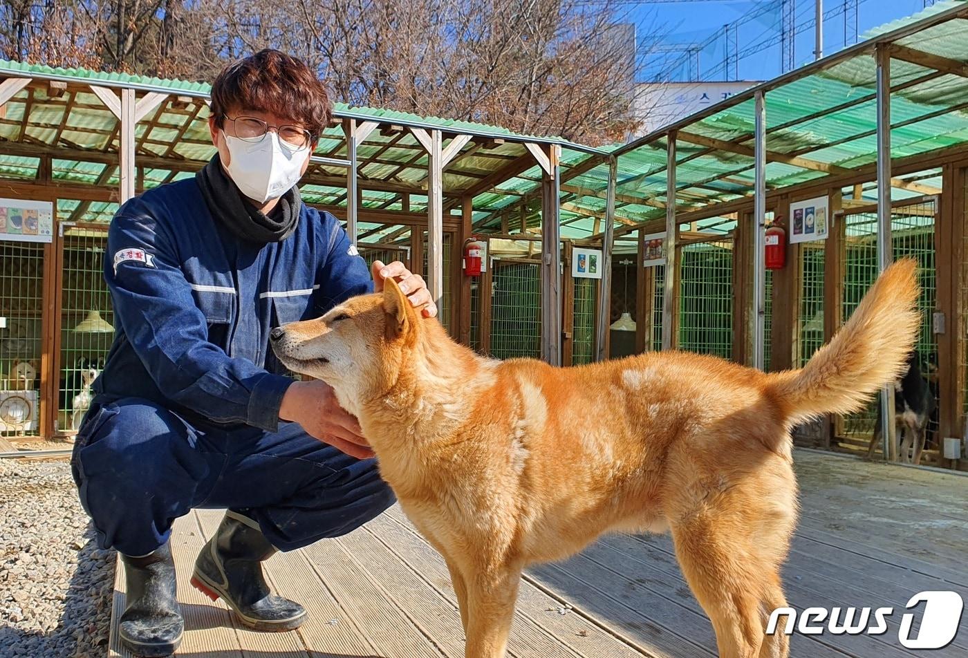 4일 경기 이천시에 위치한 사설 동물보호소 '유기견숲' 박준성 소장이 개를 쓰다듬고 있다. ⓒ 뉴스1 최서윤 기자