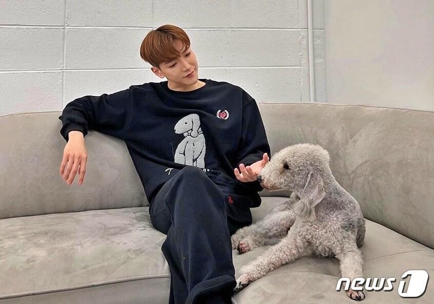 본문 이미지 - 2PM 준케이가 강아지와 함께 사진을 찍고 있다.(큐리에이트 제공) ⓒ 뉴스1
