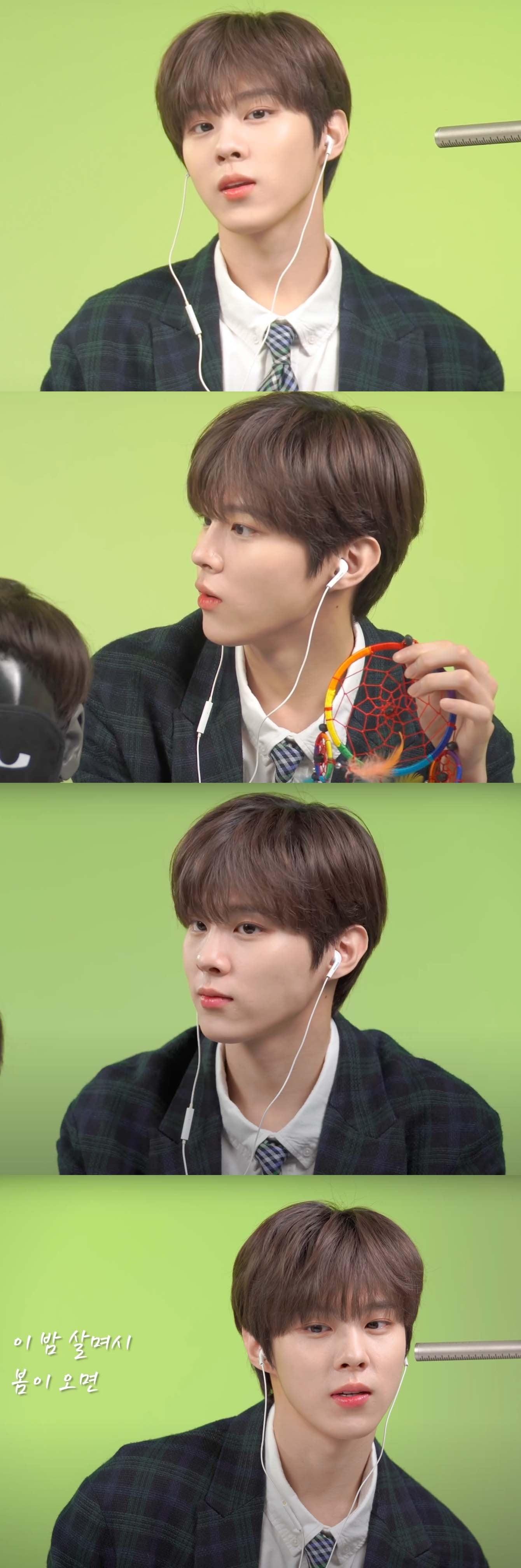 본문 이미지 - 유튜브 채널 'Soy ASMR' /티오피미디어ⓒ 뉴스1