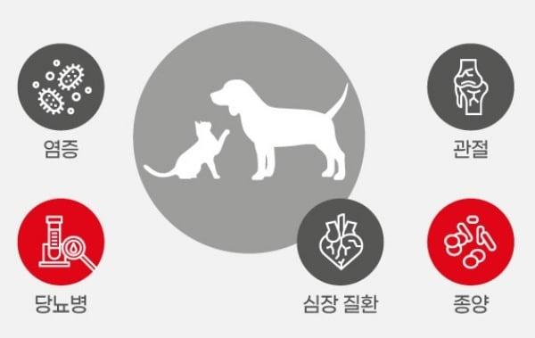 본문 이미지 - 반려견 비만은 각종 질병을 유발할 수 있어서 관리가 필요하다.(로얄캐닌 제공) ⓒ 뉴스1