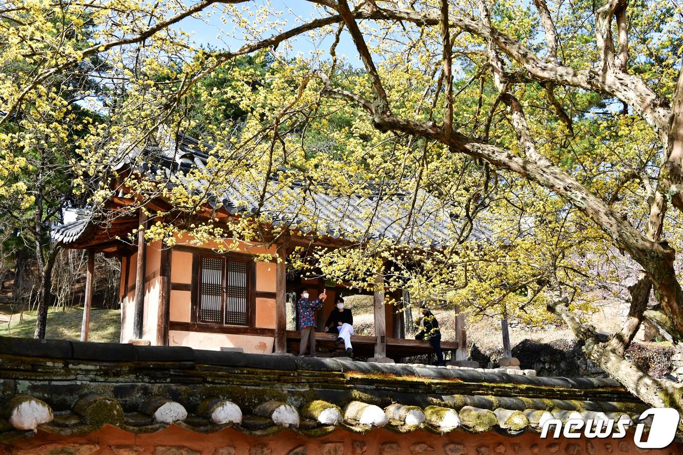 국내 별서정원 중 으뜸으로 불리는 전남 담양 소쇄원의 전경.뉴스1 ⓒ News1