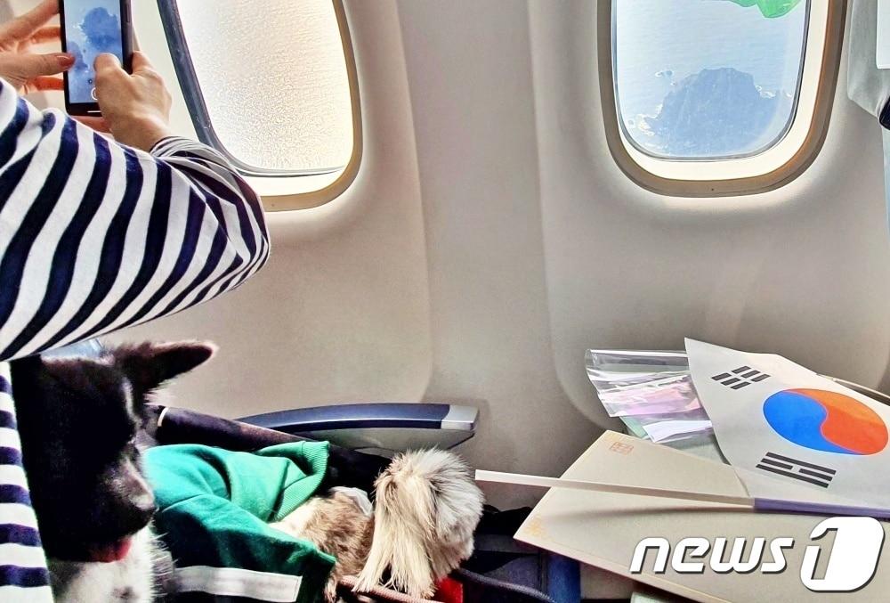 본문 이미지 - 어나더베이비는 1일 '반려견과 함께하는 3.1절 기념 울릉도(DOG도) 비행' 행사를 주최했다. 반려견과 함께 탑승한 강희재씨가 독도 사진을 찍고 있다. ⓒ 뉴스1 최서윤 기자