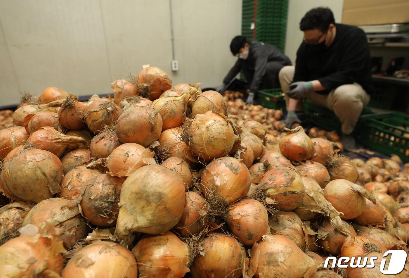 (사진은 기사 내용과 무관함) / 뉴스1 ⓒ News1