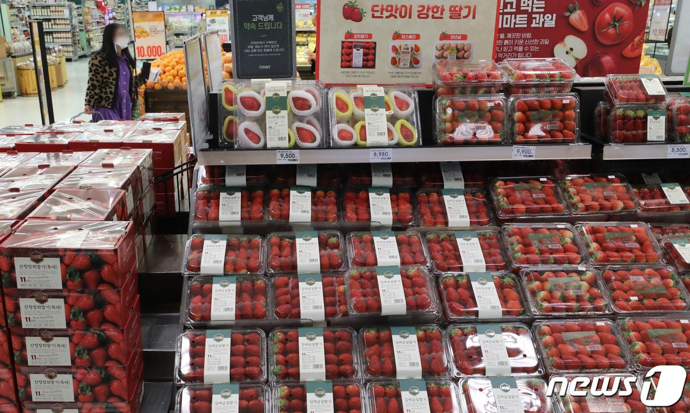 본문 이미지 - 서울의 한 마트에 과일 코너 딸기가 진열돼 있다.  2022.3.23/뉴스1 ⓒ News1 장수영 기자