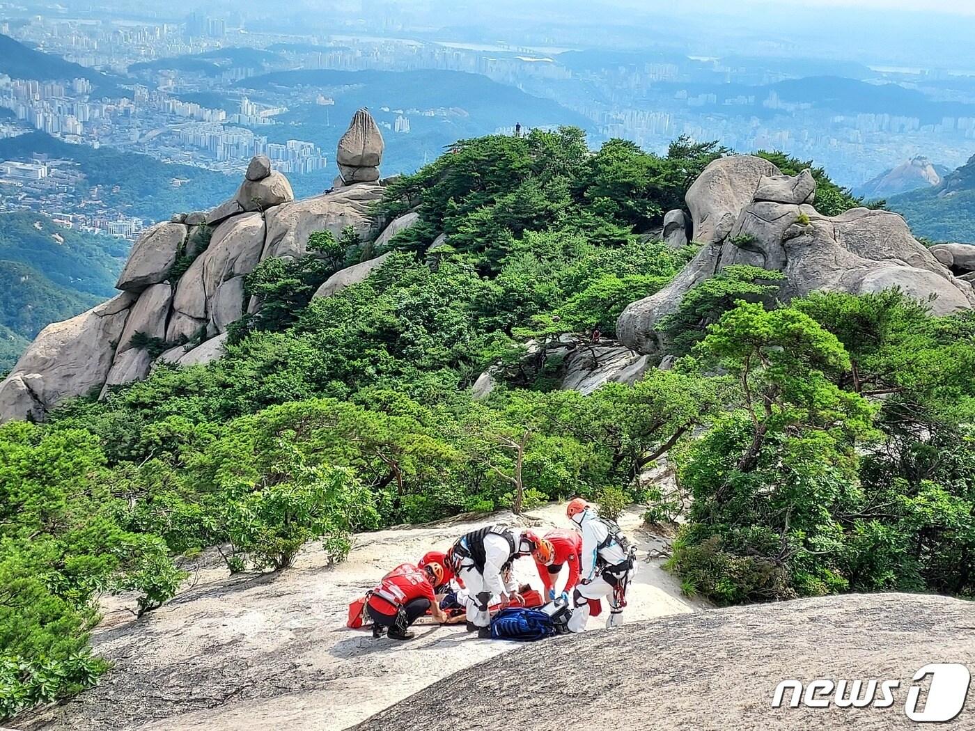본문 이미지 - 산악구조 활동 모습.(서울시제공)ⓒ 뉴스1