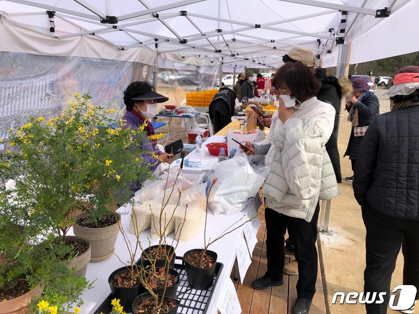 본문 이미지 - 지난 20일 위양지 방문객들이 농특산물 직거래 장터를 둘러보고 있다. (밀양시 제공) ⓒ 뉴스1