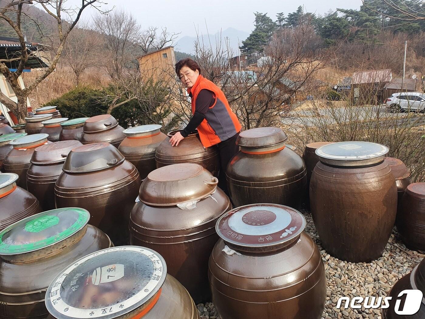 본문 이미지 - 박영자 단양군귀농귀촌인협의회장이 장맛이 뛰어나기로 소문난 자신의 소중한 장독을 애지중지하고 있다.ⓒ 뉴스1