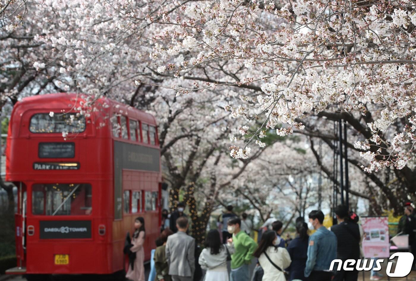 지난해 3월 벚꽃축제가 한창인 대구 이월드를 찾은 시민들이 활짝 핀 벚꽃 아래서 봄의 정취를 만끽하는 모습 2022.3.27/뉴스1 ⓒ News1 공정식 기자
