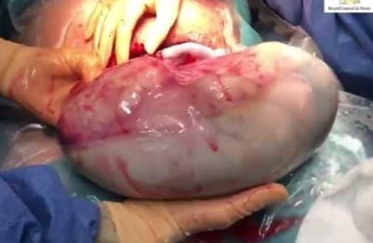 본문 이미지 - (트위터 갈무리) ⓒ 뉴스1