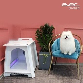 본문 이미지 - ⓒ 뉴스1