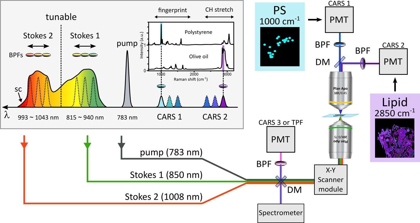 다색 CARS 이미징 실험 장치 모식도(KBSI 제공)ⓒ 뉴스1
