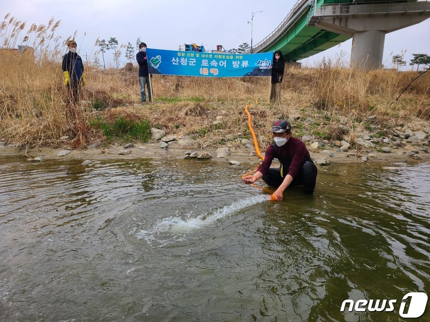 본문 이미지 - 산청군 은어치어 방류 토속어 보존사업 모습(산청군 제공)ⓒ 뉴스1