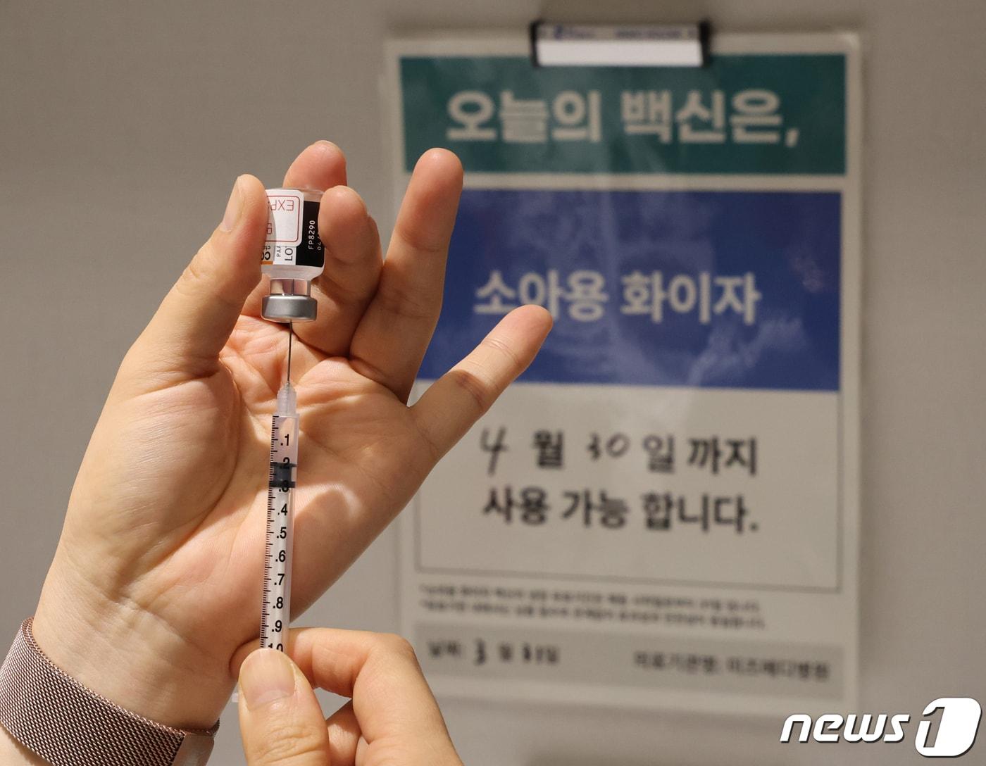 본문 이미지 - /뉴스1 ⓒ News1 사진공동취재단