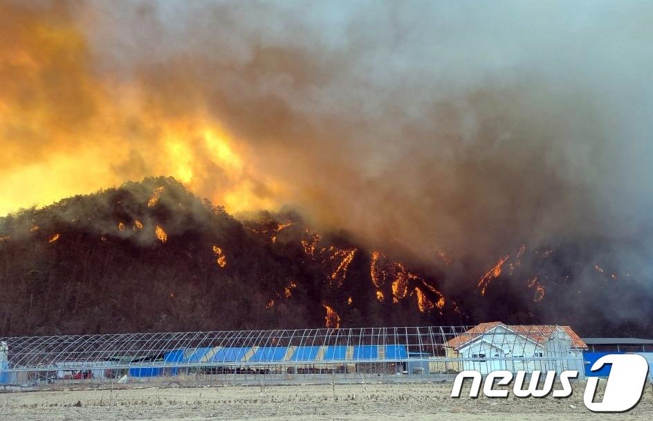 본문 이미지 - 4일 경북 울진군 북면 두천리 289 일원에서 발생한 산불이 강한 바람을 타고 확산되고 있다. 산림당국은 산불2단계를 발령, 진화헬기 24대와 산불진화대원 등 160여명을 투입 진화작업을 벌이고 있다.(산림청제공)2022.3.4/뉴스1 ⓒ News1