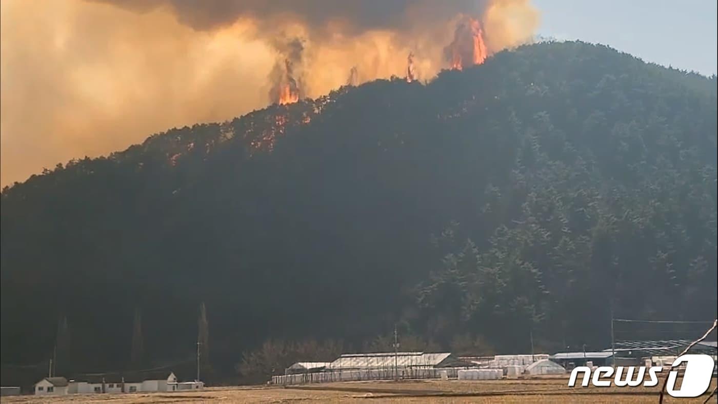 본문 이미지 - 4일 경북 울진군 북면 두천리 289 일원에서 발생한 산불이 강한 바람을 타고 확산되고 있다. 산림당국은 오후 2시10분 산불3단계를 발령, 진화헬기 24대와 산불진화대원 등 160여명을 투입 진화작업을 벌이고 있다. 울진군은 상당리, 하당리, 두천리, 사계리 마을 주민들에게 대피령을 발령했다.(경북소방본부제공)2022.3.4/뉴스1 ⓒ News1 최창호 기자