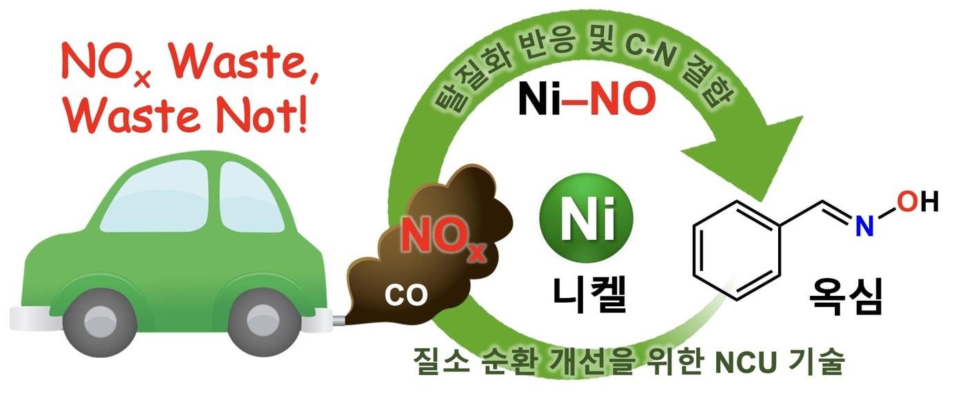본문 이미지 - 니켈을 이용한 질소 업사이클링(서울대 이윤호 교수 제공) ⓒ 뉴스1