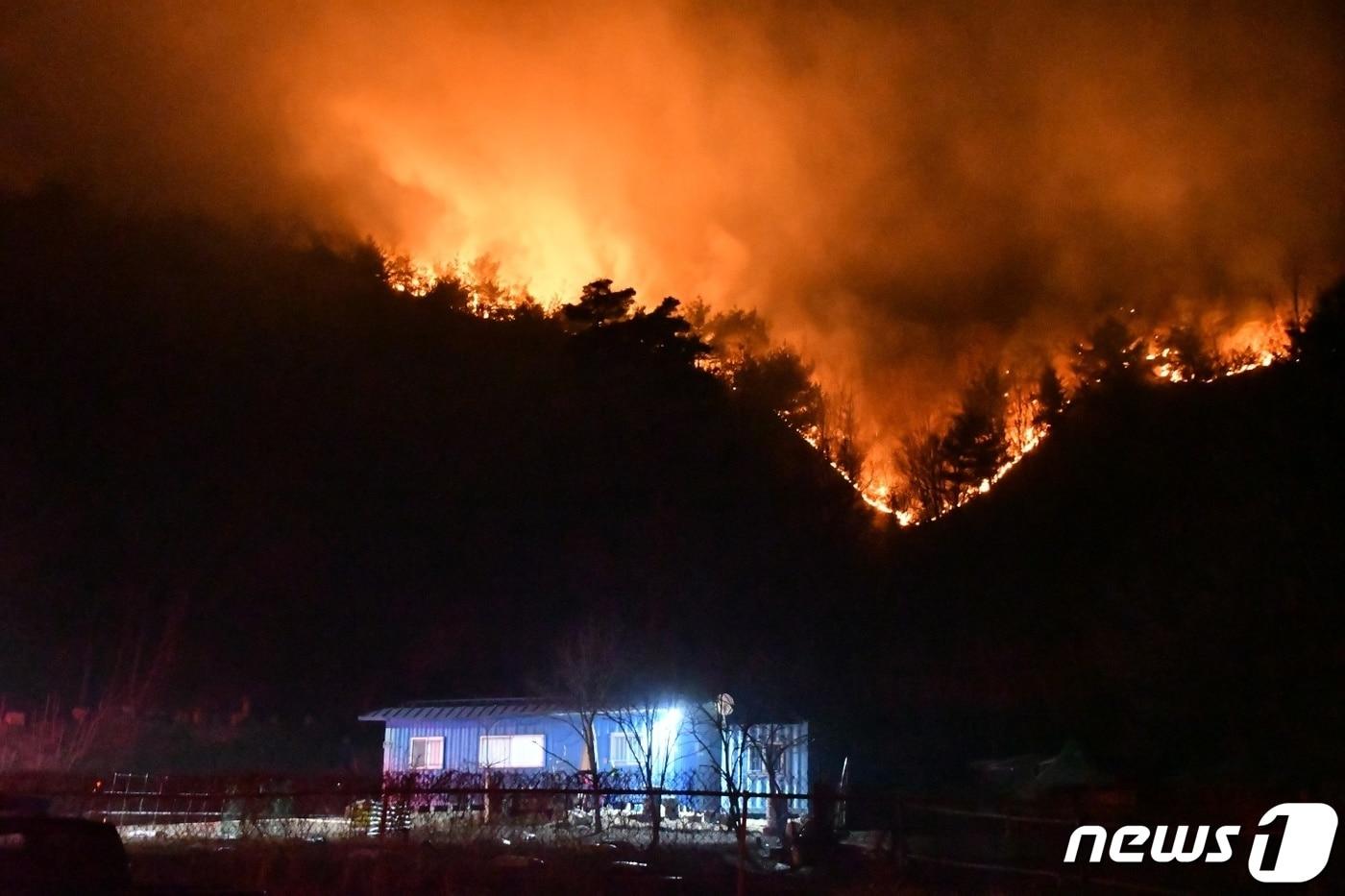 본문 이미지 - 4일 경북 울진에서 발생한 산불이 강원 삼척으로 번진 가운데 진화당국은 야간 진화체제로 전환했다. 사진은 원덕읍 민가 뒷편 야산으로 불길이 번지는 모습.(삼척시 제공)2022.3.4/뉴스1 ⓒ News1 윤왕근 기자