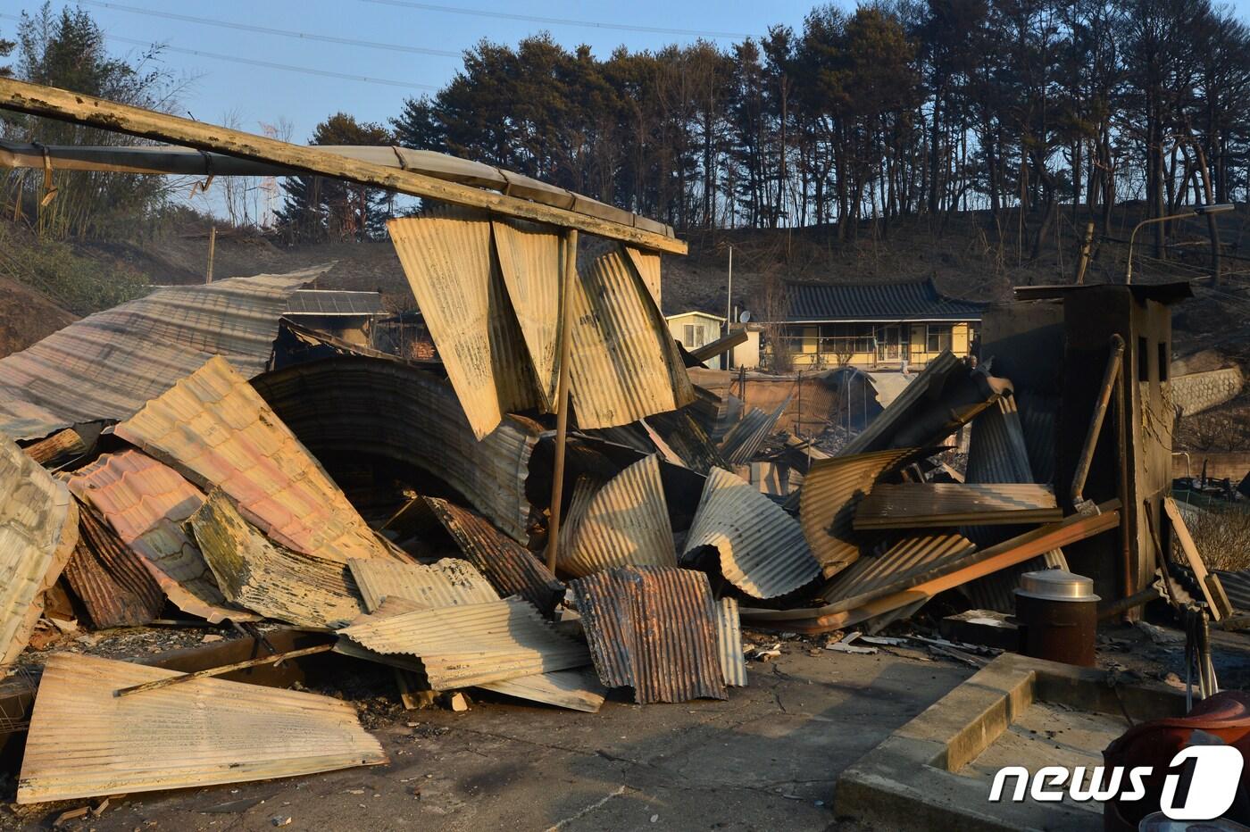 경북 울진군 산불 이틀째인 5일 화마가 휩쓸고간 북면 신화2리 마을이 잿더미로 변해있다. 2022.3.5/뉴스1 ⓒ News1 최창호 기자