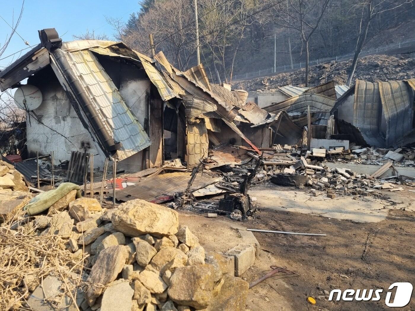 본문 이미지 - 강원 강릉시 옥계면 남양리에 위치한 A 씨 거주지. A 씨가 이곳에서 지른 불은 강풍과 함께 대형산불로 번져 강릉·동해 일대 산림 4000㏊를 잿더미로 만들었다.  2022년 3월 화재  당시 모습.&#40;뉴스1 DB&#41;