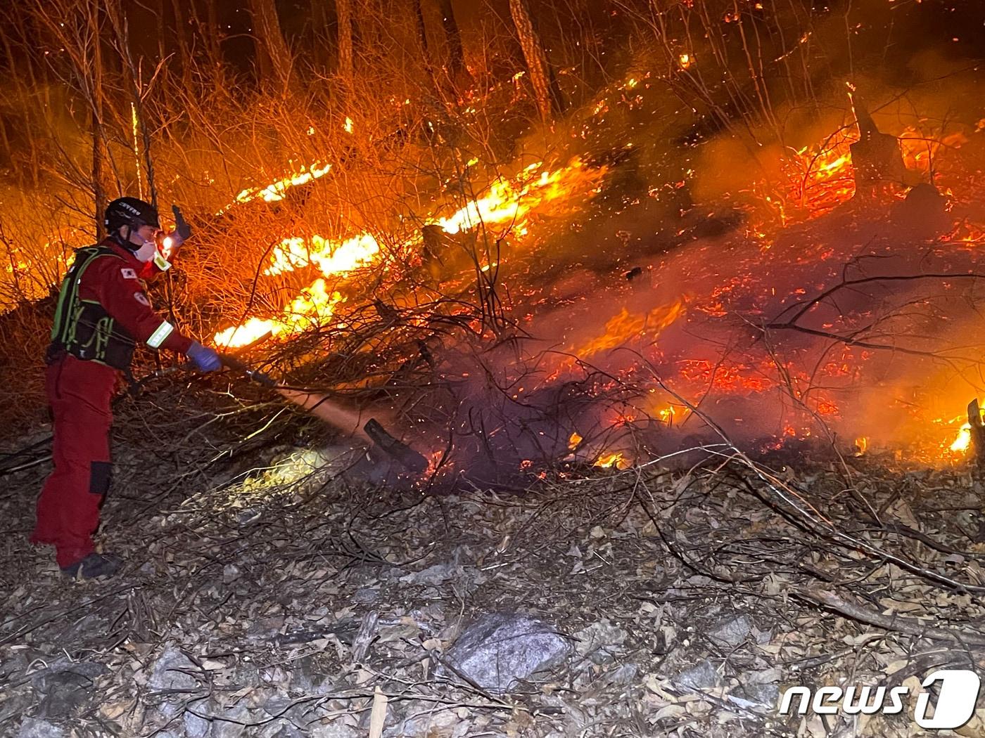 본문 이미지 - 지난해 3월 4일 강원도 산불 화재 지역에서 산림청 산림항공본부 대원이 지상 진화 작업에 나서는 모습. (산림청 제공) 2022.3.5/뉴스1