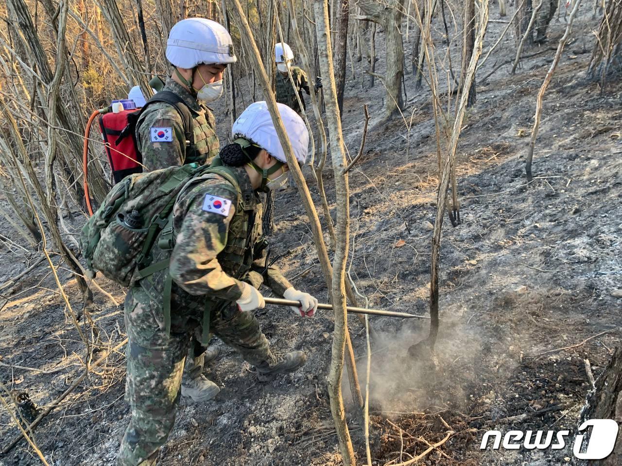 본문 이미지 - 기사 이해를 돕기 위한 산불진화 작업 자료 사진으로, 기사 내용과 직접 관련 없음. (뉴스1 DB)