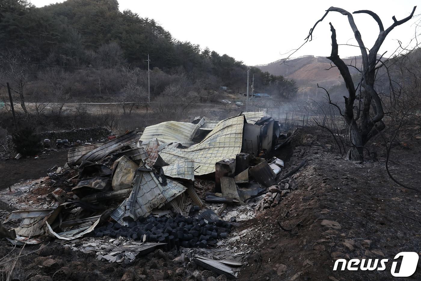 본문 이미지 - 동해안 일대에 산불이 발생한지 사흘째를 맞이한 6일 강원 강릉시 옥계면 남양리의 한 가옥이 불에 타 검게 그을려 있다. 2022.3.6/뉴스1 ⓒ News1 민경석 기자