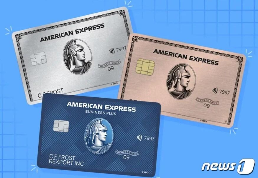 본문 이미지 - 아멕스 카드 - 회사 홈피 갈무리