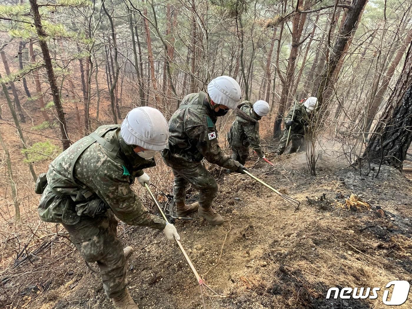 본문 이미지 - 경북 울진 산불 나흘째인 7일 오후 육군 50사단 강철부대 장병들이 고성1리, 명도1ㆍ2리 산에서 잔불 진화작전을 펼치고 있다. 2022.3.7/뉴스1 ⓒ News1 최창호 기자