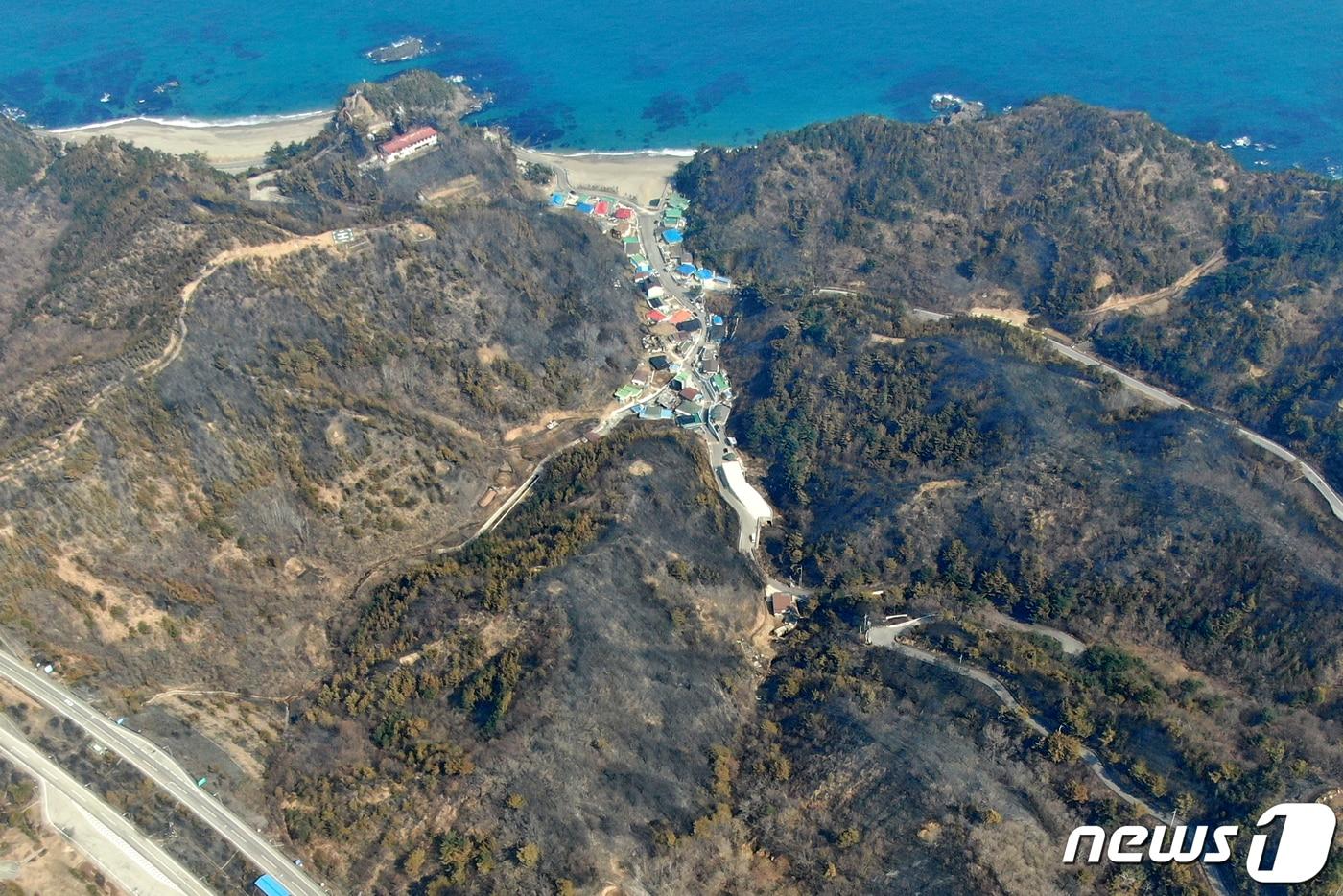 본문 이미지 - 경북 울진·강원 삼척 산불 엿새째인 9일 경북 울진군 원덕읍 월천리 고포해변 주변 일대 산림이 불에 타 까맣게 그을려 있다. 산림청과 소방당국, 지자체에 따르면 이날 울진˙삼척 산불의 전체 진화율은 70%까지 높아진 상황이다. 2022.3.9/뉴스1 ⓒ News1 민경석 기자