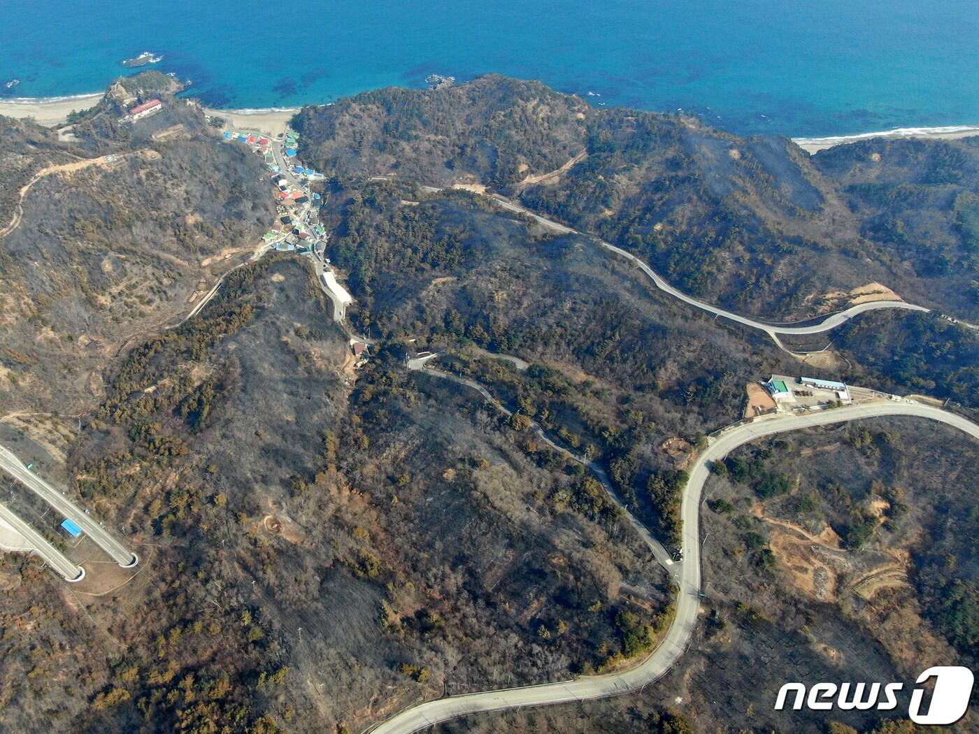 본문 이미지 -  강원도 삼척시 원덕읍 월천리 고포해변 주변 일대 산림이 불에 타 까맣게 그을려 있다. 2022.3.9/뉴스1 ⓒ News1 민경석 기자