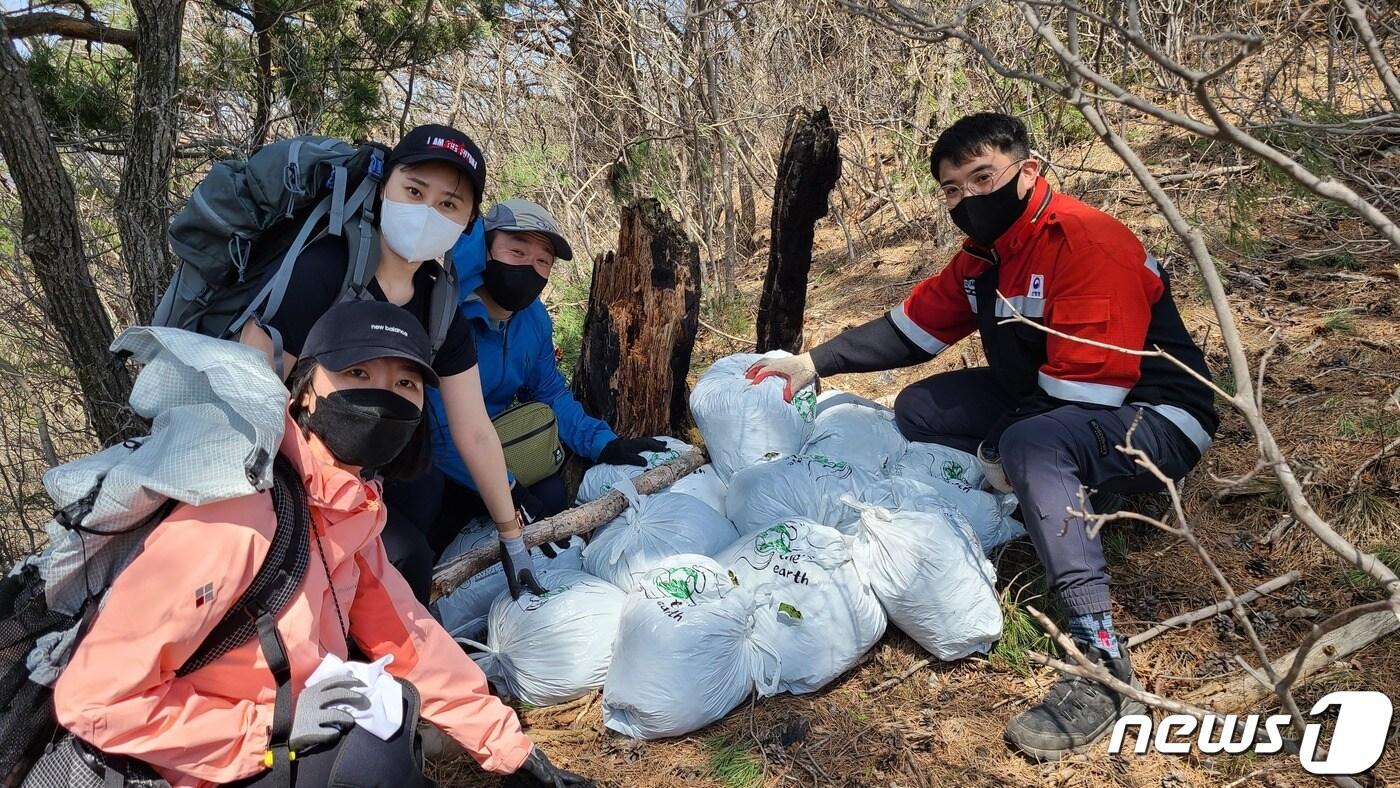 본문 이미지 - 산림청이 울진군 금강송면 소광리 일원에서 멸종위기야생생물Ⅰ급으로 지정된 산양(천연기념물 217호)의 먹이주기 활동을 했다.ⓒ 뉴스1