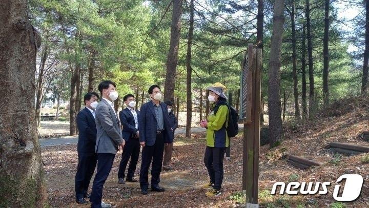 본문 이미지 - 14일 산림청 산림품종관리센터는 올해도 충주 본원에서 채종원 걷기 프로그램을 운영한다고 밝혔다. 걷기 프로그램 모습.(산림품종관리센터 제공)2022.4.14/ⓒ 뉴스1