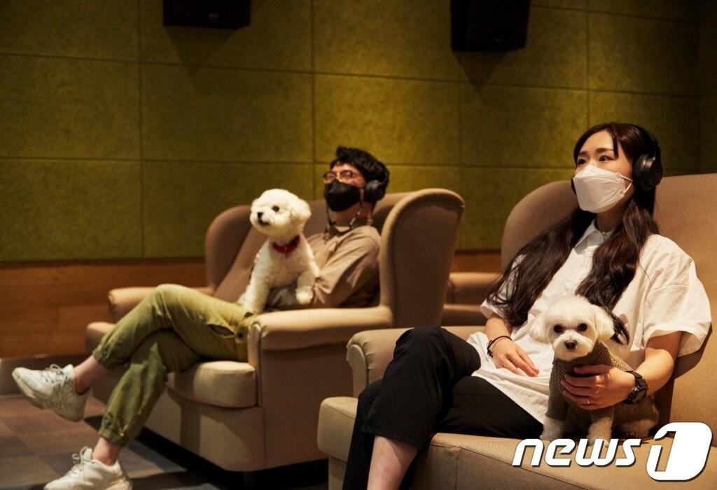 본문 이미지 - 어나더베이비가 메가박스와 손잡고 반려견 동반 전용 영화관 '퍼피 시네마'를 16일 개관했다.(어나더베이비 제공) ⓒ 뉴스1
