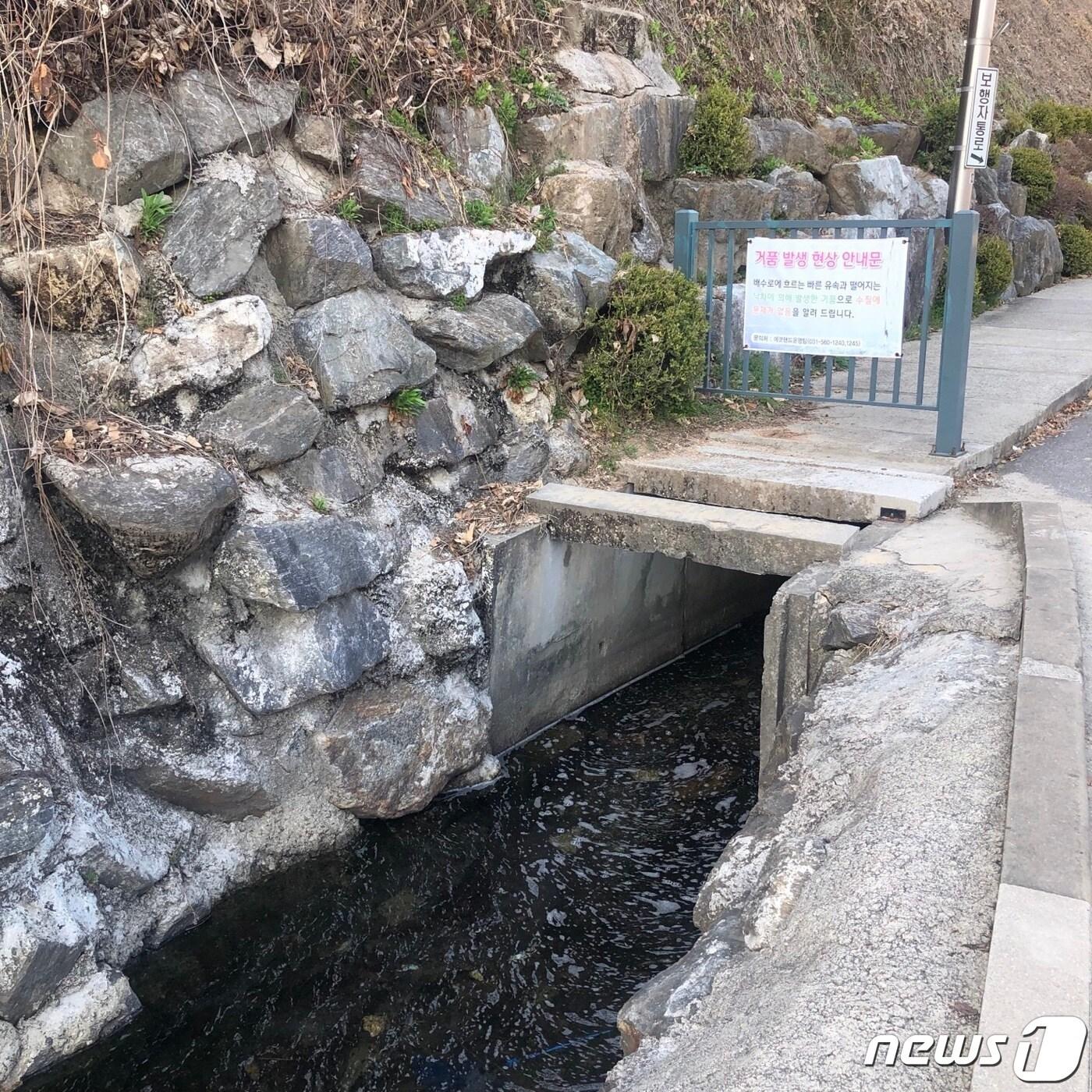 본문 이미지 - 남양주도시공사가 관리하는 에코랜드 내부 산책로 옆 도랑 2022.4.2/ ⓒ 뉴스1 이상휼 기자