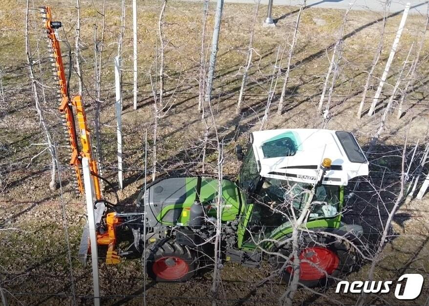 본문 이미지 - 농촌진흥청은 20일 국내 최초로 가지치기와 꽃따기, 약제 방제 등 사과 생산 과정에 자동화, 기계화 기술을 접목하고 재배 가능성을 확인했다고 밝혔다.ⓒ 뉴스1