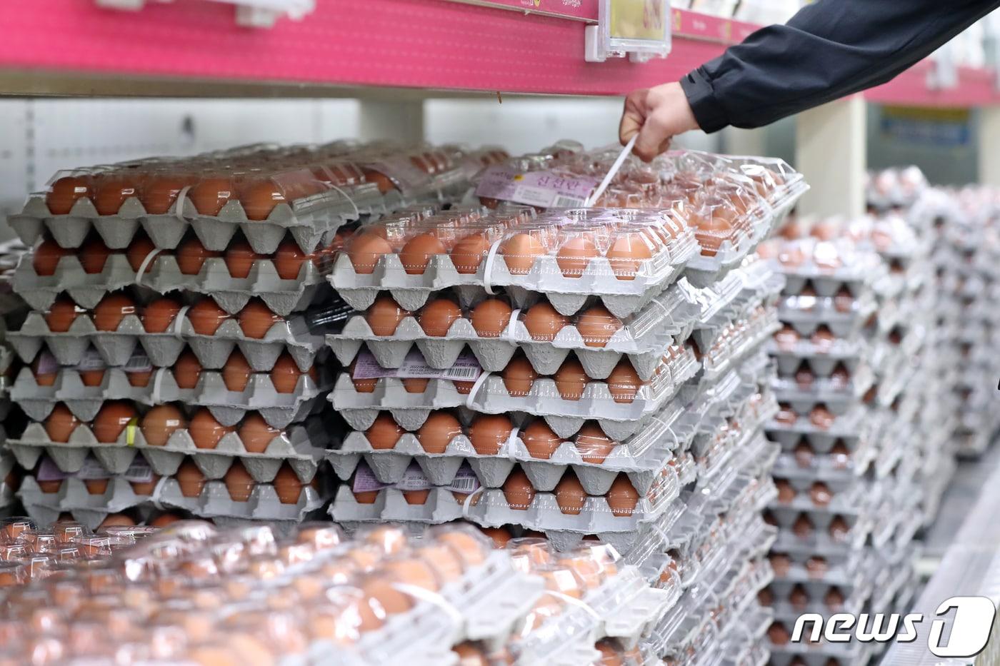 본문 이미지 - 한 대형마트에서 계란을 고르고 있는 시민 모습. / 뉴스1 ⓒ News1 황기선 기자