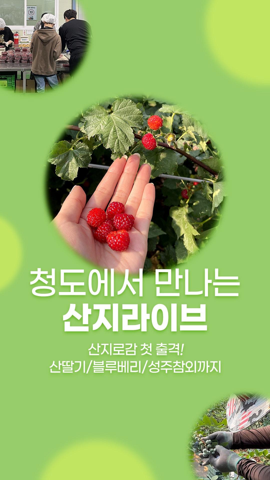 본문 이미지 - SK스토아 '산지도감' 론칭.(SK스토아 제공) ⓒ 뉴스1