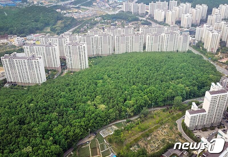 본문 이미지 - 개발행위 허가 절차가 진행되고 있는 성복자이2차 아파트와 경남아너빌2차 아파트 사이의 토지. 앞서 용인시는 이 토지에 대해 세 차례 신청된 개발행위 허가를 모두 내주지 않았다.(주민측 제공) ⓒ News1 