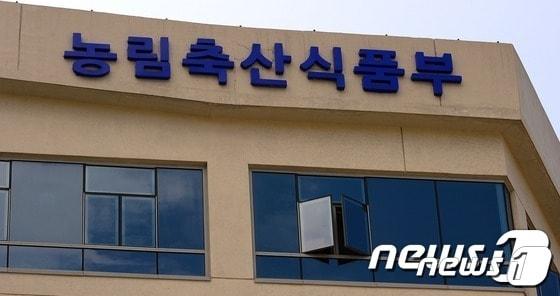 본문 이미지 - ⓒ 뉴스1