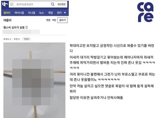 본문 이미지 - (동물권 단체 케어 인스타그램 갈무리) ⓒ 뉴스1