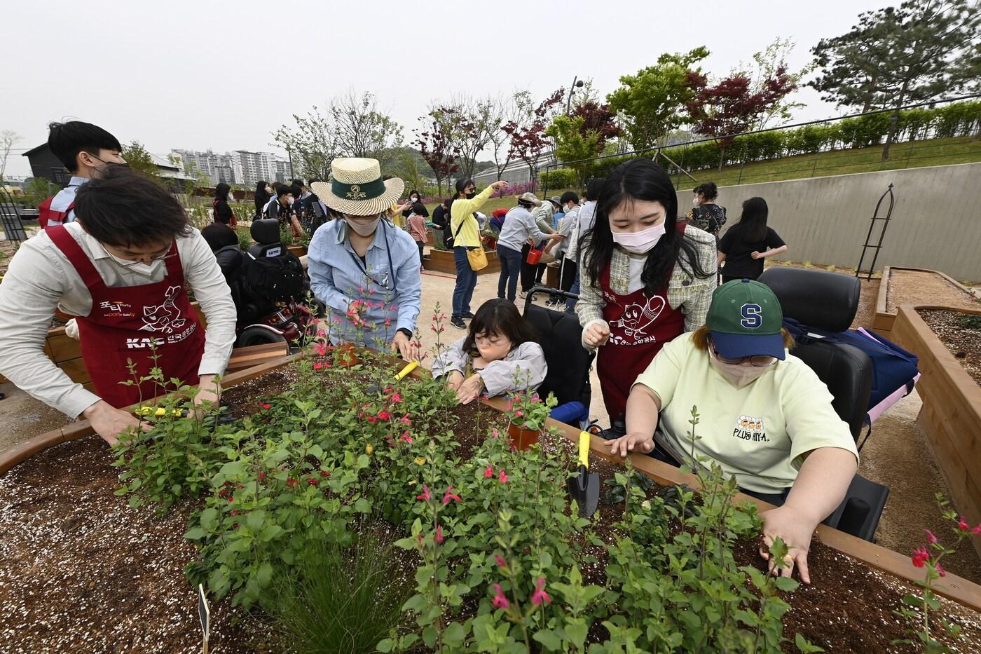 모두의 텃밭(서울시 제공).ⓒ 뉴스1