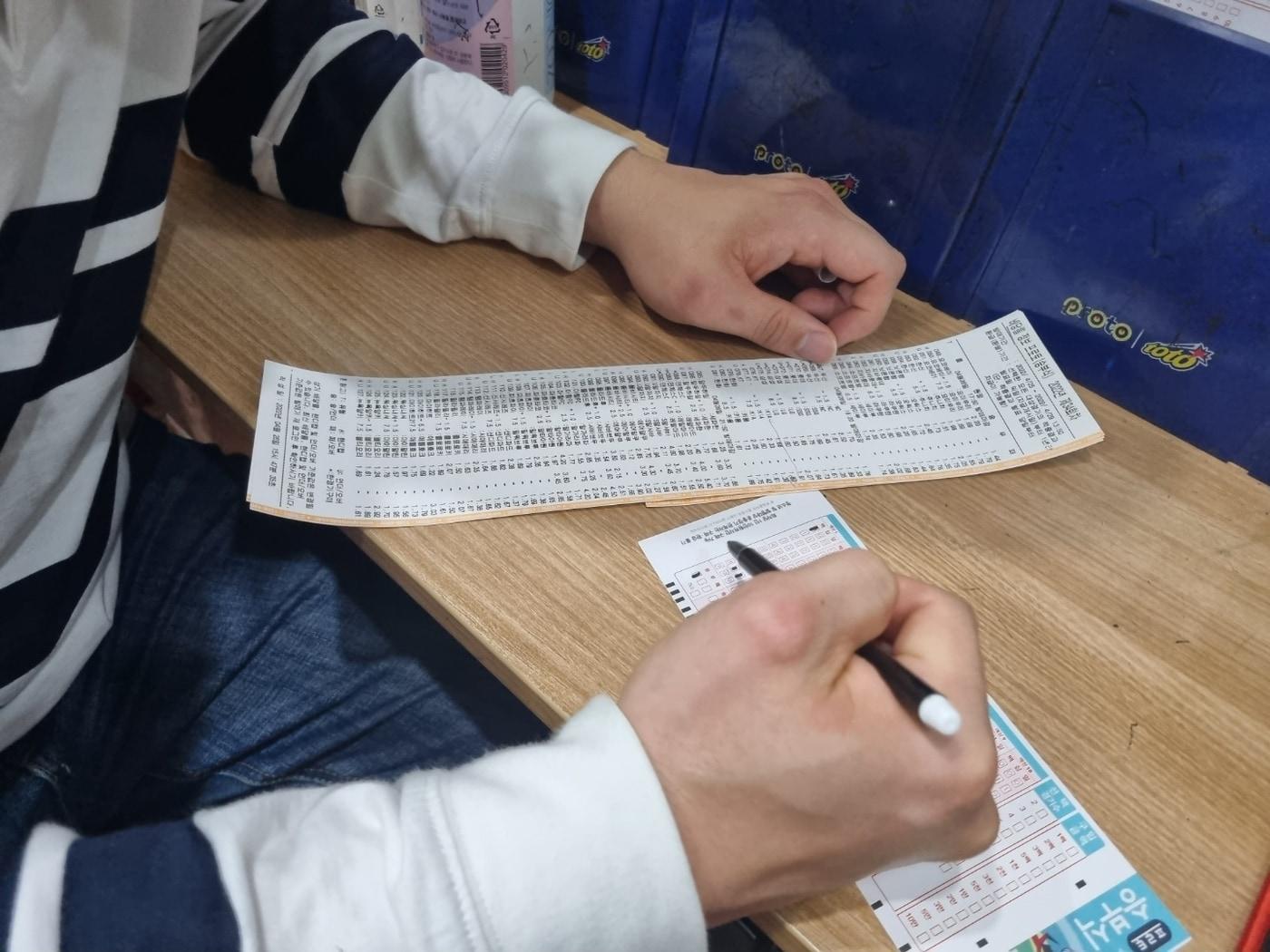 본문 이미지 - 스포츠토토 베팅 체험기ⓒ 뉴스1