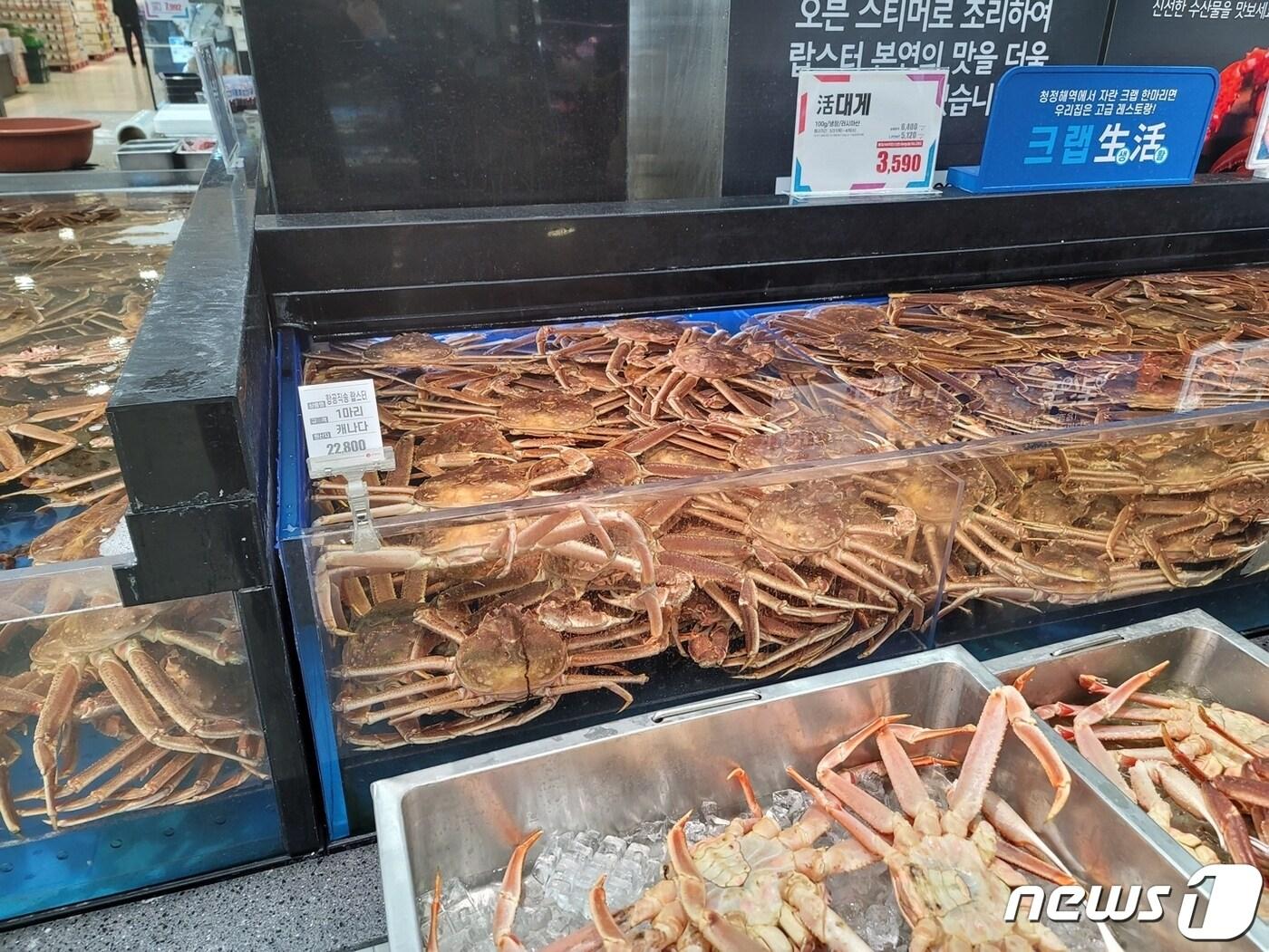본문 이미지 - 대형마트에서 할인 판매하고 있는 러시아산 대게(독자 제공).ⓒ 뉴스1
