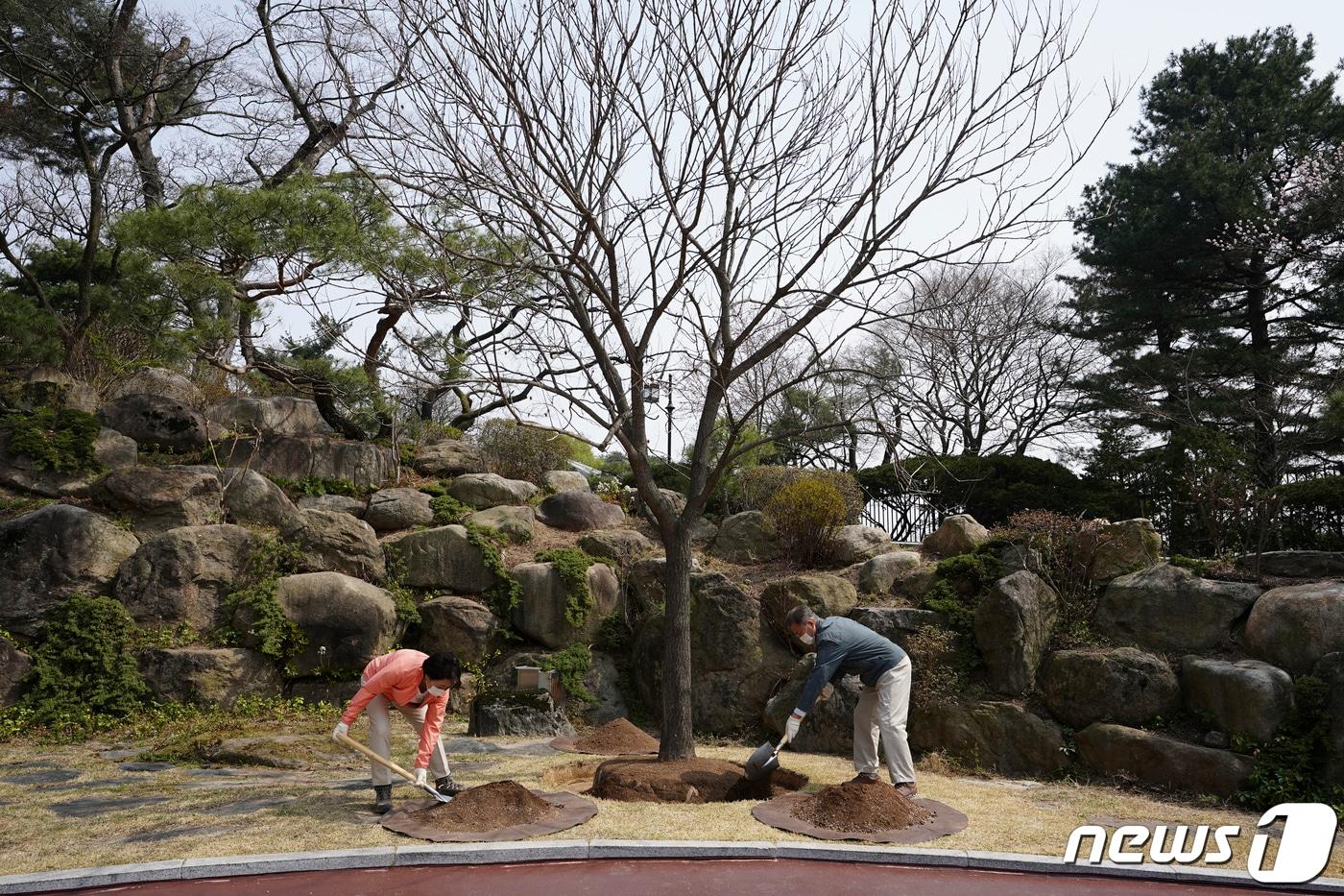 본문 이미지 - 문재인 대통령과 김정숙 여사가 식목일인 5일 청와대 녹지원에서 기념식수를 하고 있다.(청와대 제공)2022.4.5/뉴스1 ⓒ News1 이광호 기자