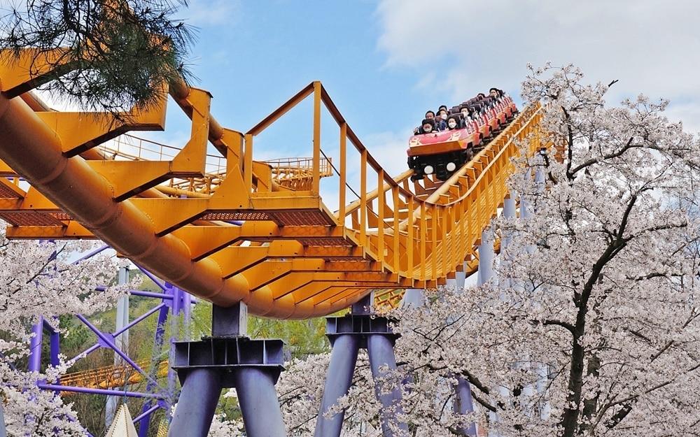 본문 이미지 - 놀이기구 타면서 벚꽃 즐기기. 서울랜드 제공