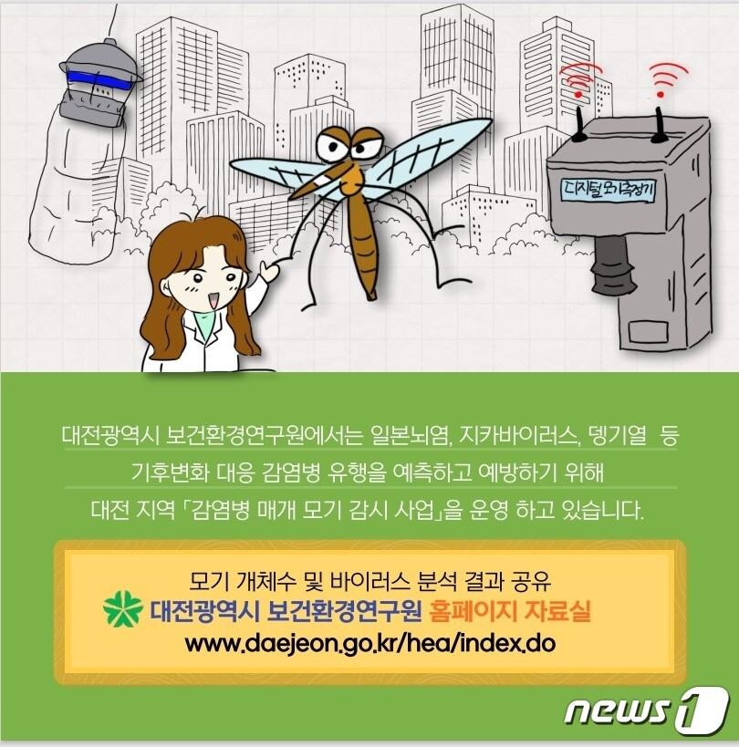 본문 이미지 - 대전시 보건환경연구원의 감염병 매개 모기 감시 사업 안내문.(대전시 제공)ⓒ 뉴스1