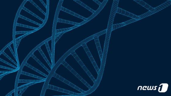 본문 이미지 - ⓒ News1 윤주희 디자이너