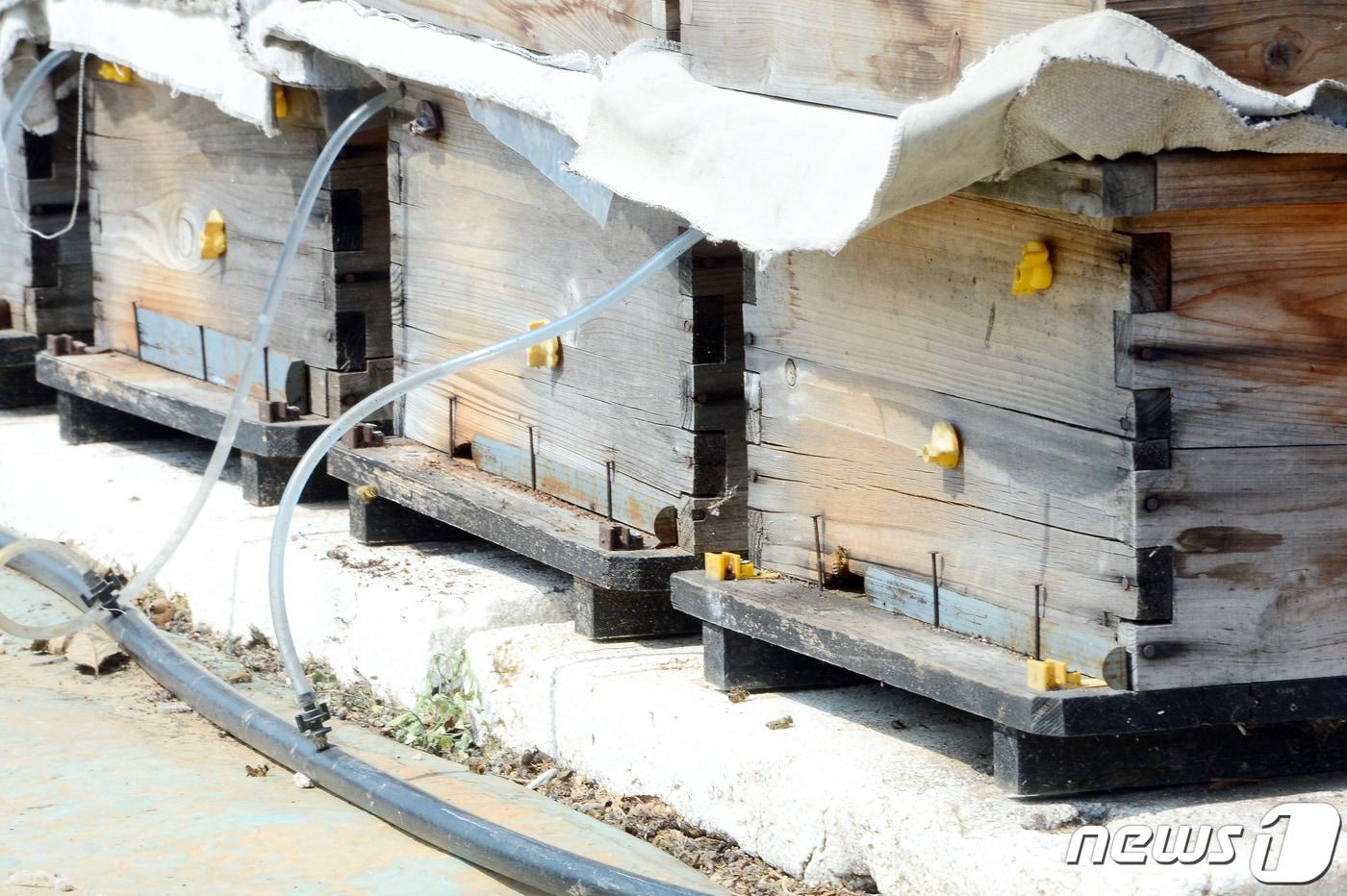 광주 서구 서창동 한 양봉장에 벌통이 놓여져 있다. 2022.4.7/뉴스1 ⓒ News1 정다움 기자